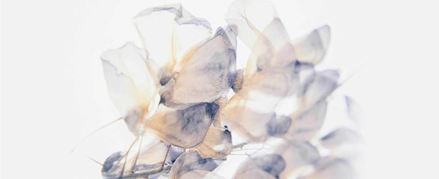 高崎のエステサロン S'ion（シオン）メインイメージ