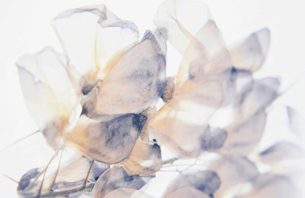 高崎のエステサロン S'ion（シオン）メインイメージ